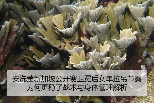 an-xi-ying-xin-jia-po-gong-kai-sai-wei-mian-hou-nv-dan-la-diao-jie-zou-wei-he-geng-wen-le-zhan-shu-yu-shen-ti-guan-li-2-587.jpg