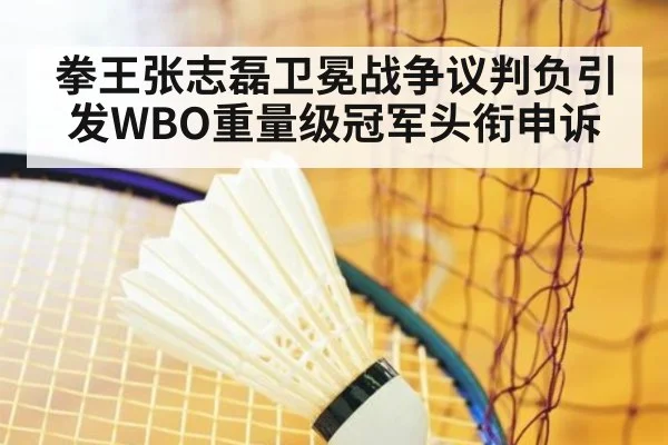 拳王张志磊卫冕战争议判负引发WBO重量级冠军头衔申诉
